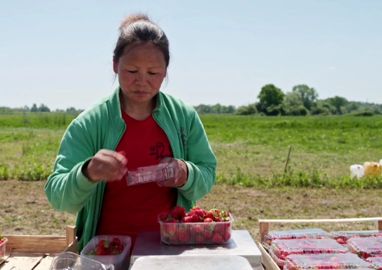 Nepalka tri godine radi na OPG-u kod Siska: “U početku mi je bilo jako teško”