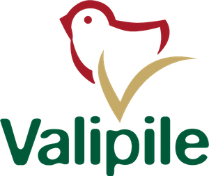 VALIPILE društvo s ograničenom odgovornošću za trgovinu, usluge i zastupanje